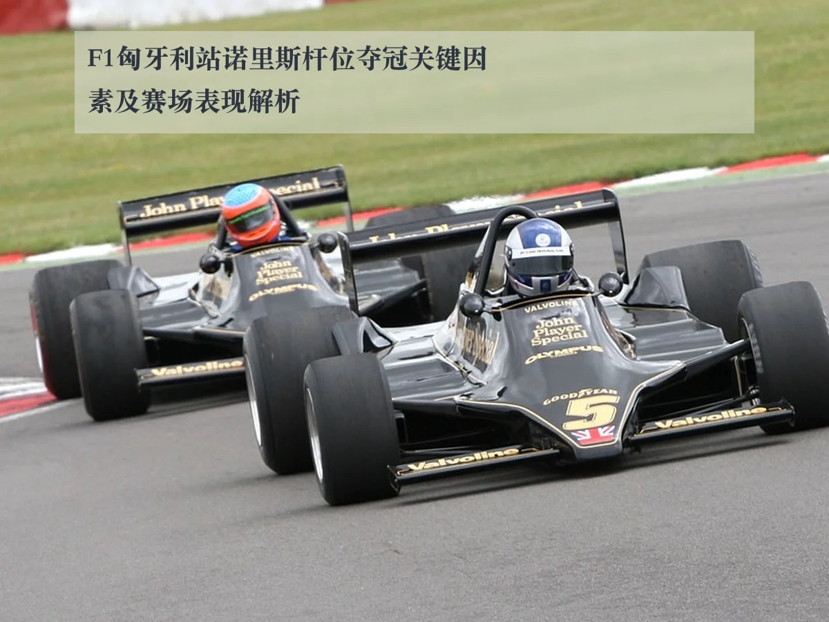 F1匈牙利站诺里斯杆位夺冠关键因素及赛场表现解析